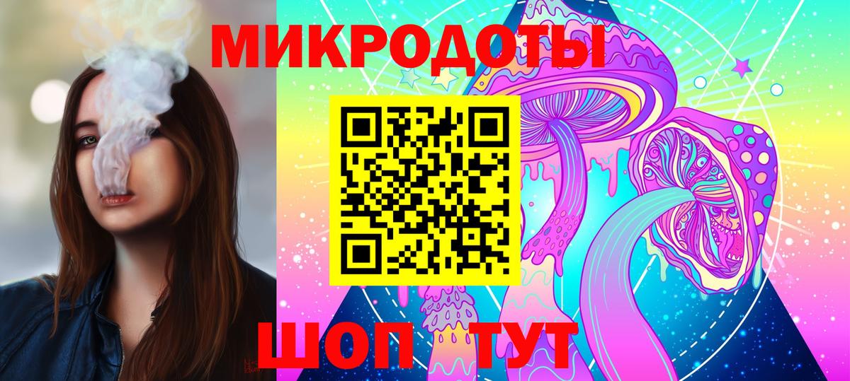 Галлюциногенные грибы Psilocybe Кисловодск