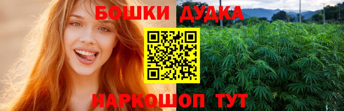 Бошки марихуана планчик Кисловодск